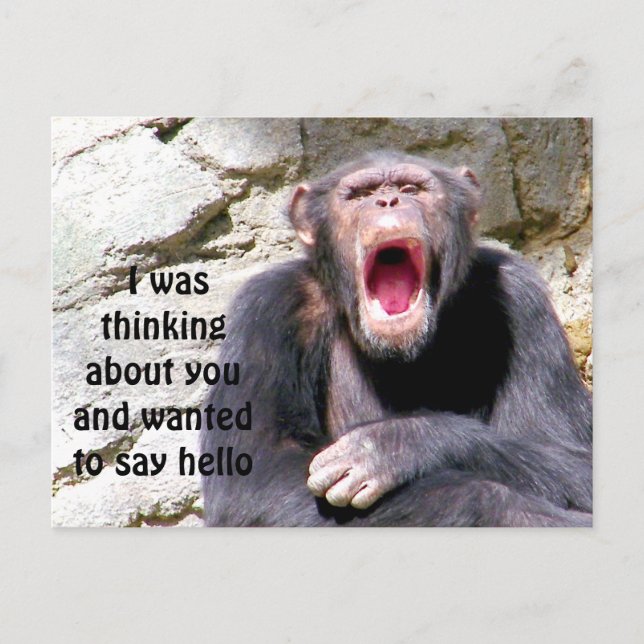 Cartão Postal Olá_ (Frente)