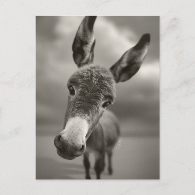 Cartão Postal Olá. (Frente)