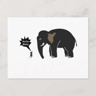 Cartão Postal Olá, amigo!