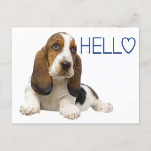 Cartão Postal Olá, Basset Hound Puppy Cachorro Azul Pensando em 