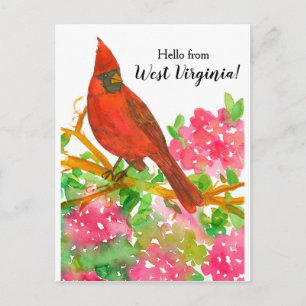 Cartão Postal Olá, Cardinal do Norte de Virgínia Ocidental