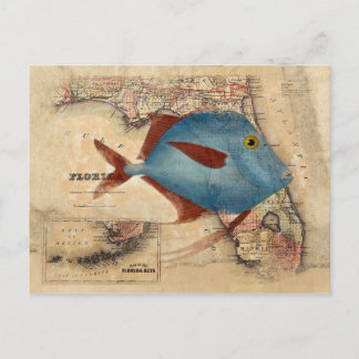 Cartão Postal Olá da Flórida