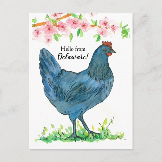 Cartão Postal Olá de Delaware Blue Hen Chicken Flowers Rosa (Frente)