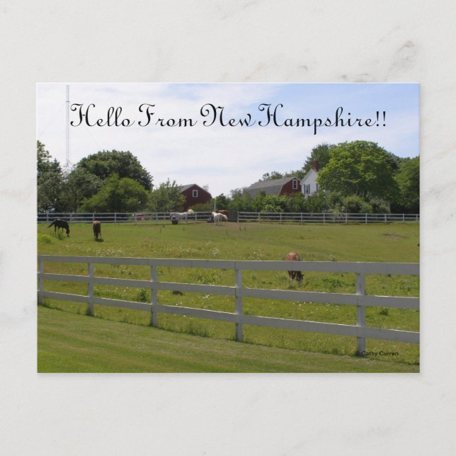 Cartão Postal Olá de New Hampshire (Frente)