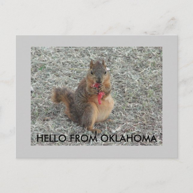CARTÃO POSTAL OLÁ DE OKLAHOMA (Frente)