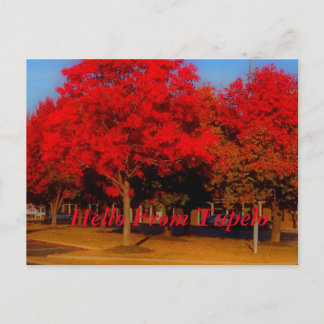 Cartão Postal Olá De Tupelo