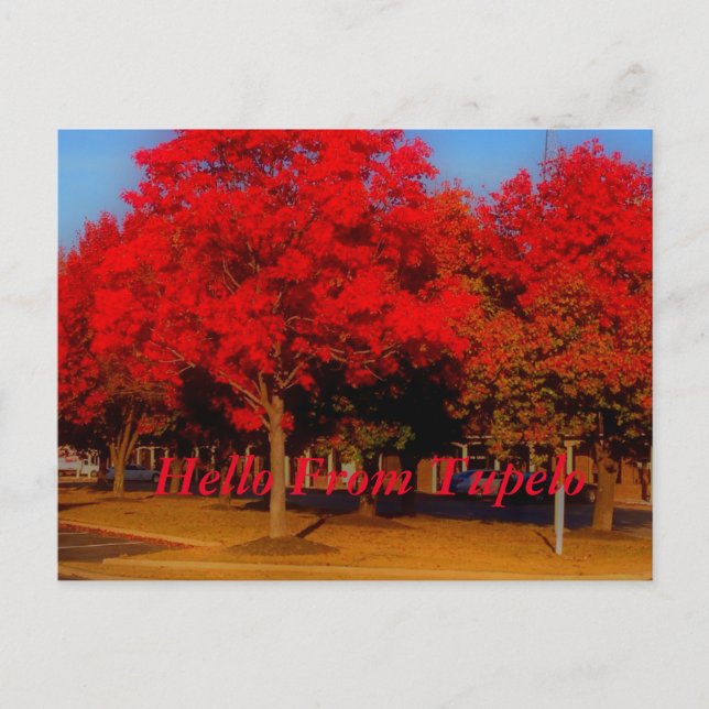 Cartão Postal Olá De Tupelo (Frente)