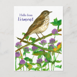 Cartão Postal Olá de Vermont Hermit Thrush Purple Clover