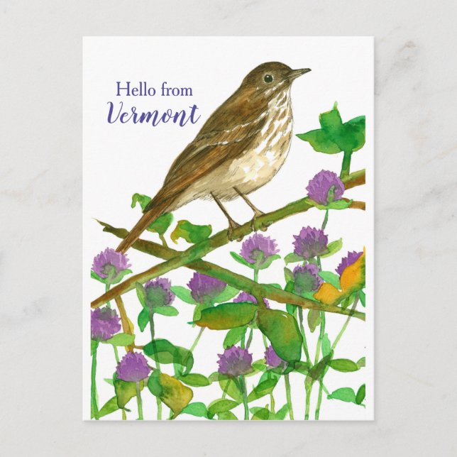 Cartão Postal Olá de Vermont Hermit Thrush Purple Clover (Frente)