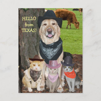Cartão Postal Olá do Texas!