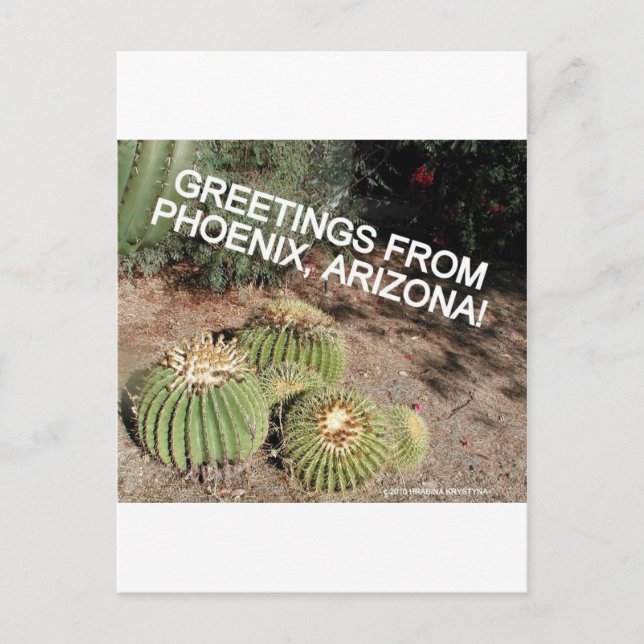 CARTÃO POSTAL OLÁ E BEM-VINDO À ARIZONA PHOENIX (Frente)