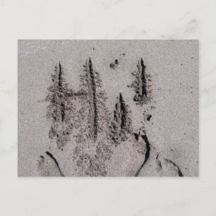 Cartão Postal Olá! Escrito na praia da Flórida com pegadas