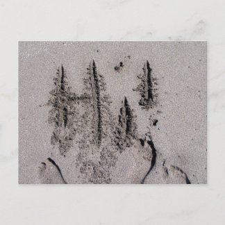 Cartão Postal Olá! Escrito na praia da Flórida com pegadas
