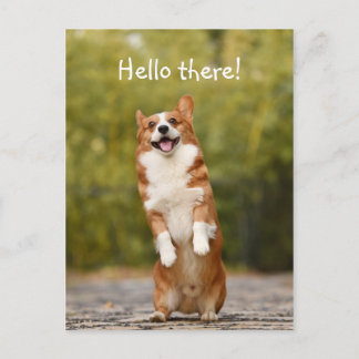 Cartão Postal Olá! / Funny Corgi