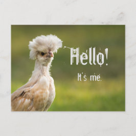 Cartão Postal Olá Mensagem Personalizada Frango Polonês