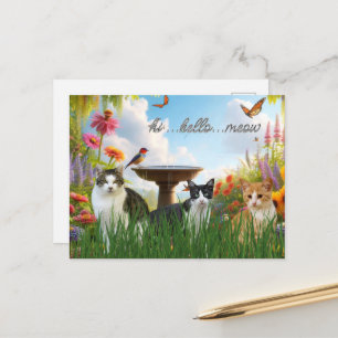 Cartão Postal Olá, Meow/Gatos no Garden Cute Animal