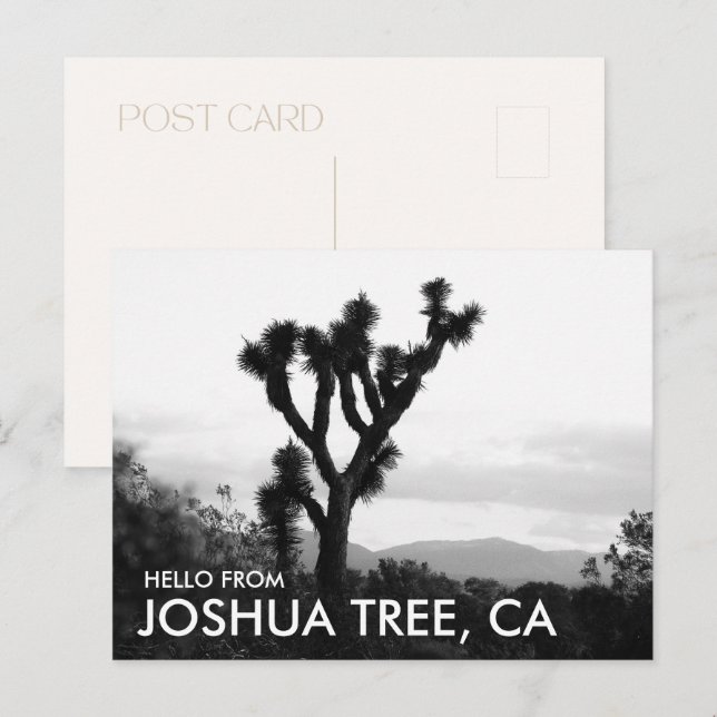Cartão Postal Olá moderno em preto e branco de Joshua Tree (Frente/Verso)