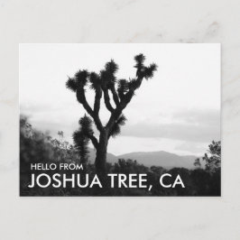 Cartão Postal Olá moderno em preto e branco de Joshua Tree