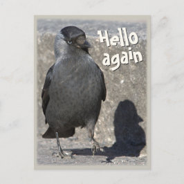 Cartão Postal Olá novamente, cartão-postal Jackdaw CC0518