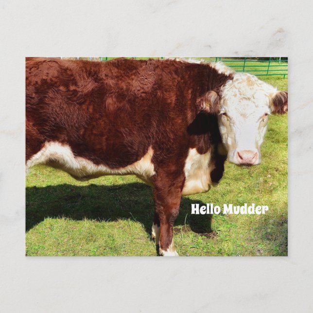 Cartão Postal Olá PostCard (Frente)