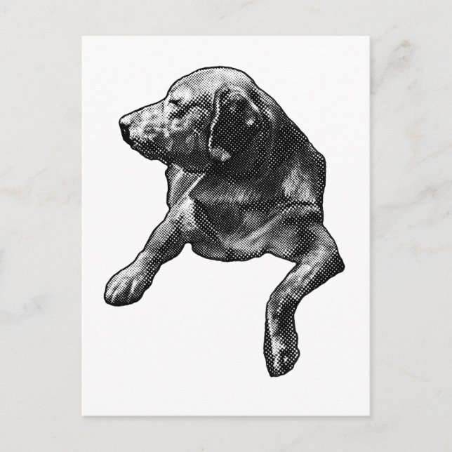 Cartão Postal Olá Rápido com Pontos Finos (Frente)