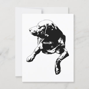 Cartão Postal Olá Rápido, Laboratório de Vias Laterais