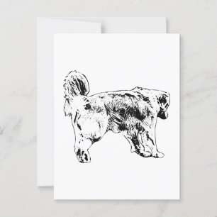 Cartão Postal Olá Rápido, Ouro Retriever