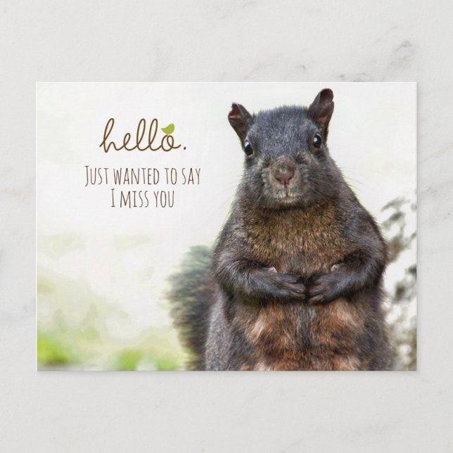 Cartão Postal Olá, Sinto Sua Falta (Frente)