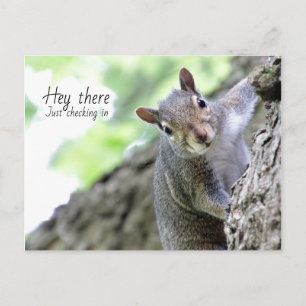 Cartão postal Olá, Só para Dar uma Passada 