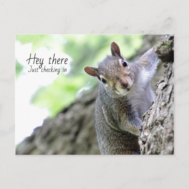 Cartão postal Olá, Só para Dar uma Passada  (Frente)