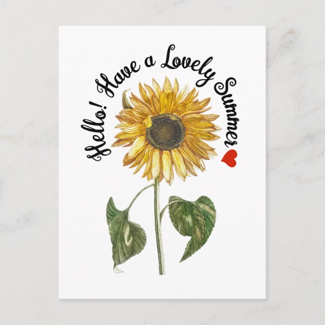 Cartão Postal Olá! Tenha um verão adorável - girassol venenoso (Frente)