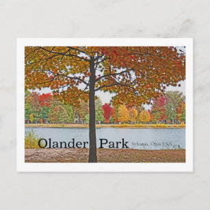 Cartão Postal Olander Park, Sylvania, Ohio USA/Colunas do outono