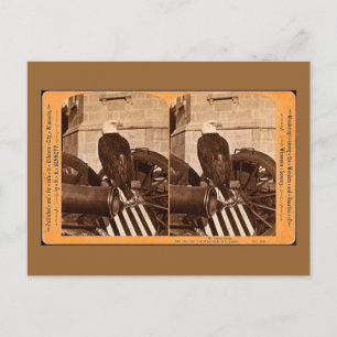 Cartão Postal Old Abe, The Wisconsin War Eagle - Stereoview