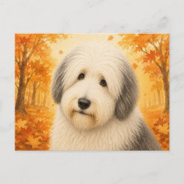 Cartão Postal Old English Sheepdog Autumn Dog