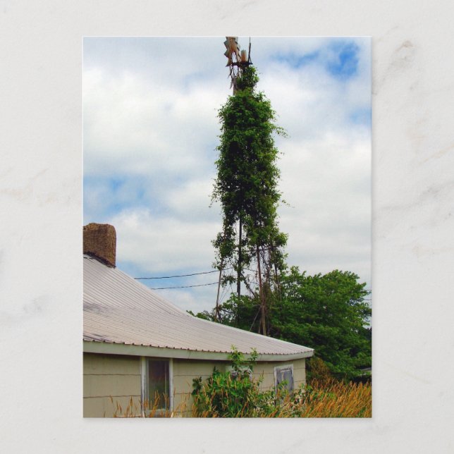 Cartão Postal Old Farmstead (Frente)