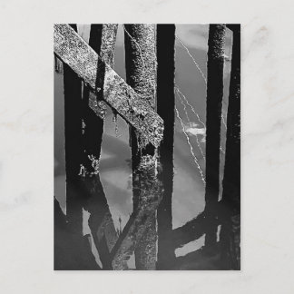 Cartão Postal Old Wharf Pier Barnacle Beams Pilings Post Card