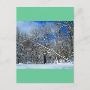 Cartão Postal Óleo de Árvores de Nevasca