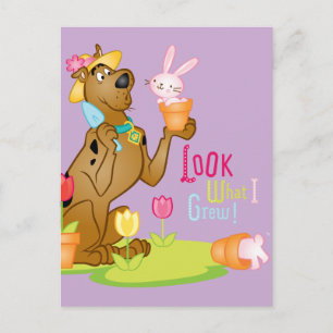 Cartão Postal Olha O Que Eu Cresci