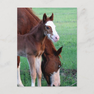 Cartão Postal Olha para mim!