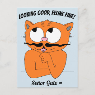 Cartão Postal "OLHANDO BEM, FELINO FINE!" Gato Bigode Fofo