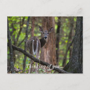 Cartão Postal Olhando Para Trás
