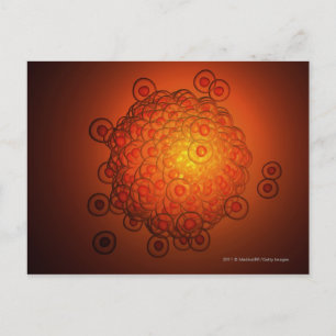 Cartão Postal Olhar magnificamente um óvulo