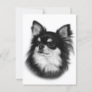 Cartão Postal Olhar Real Chihuahua - Pintado À Mão