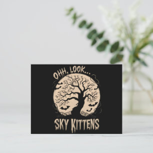 Cartão Postal Olhe Gatinhos no Céu Amante de Morcegos Engraçados