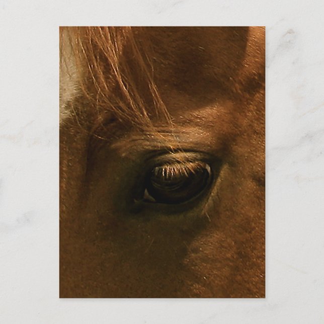Cartão Postal Olho de Cavalo Soulful (Frente)