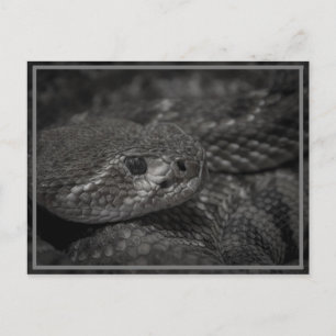 Cartão Postal olho do cobra