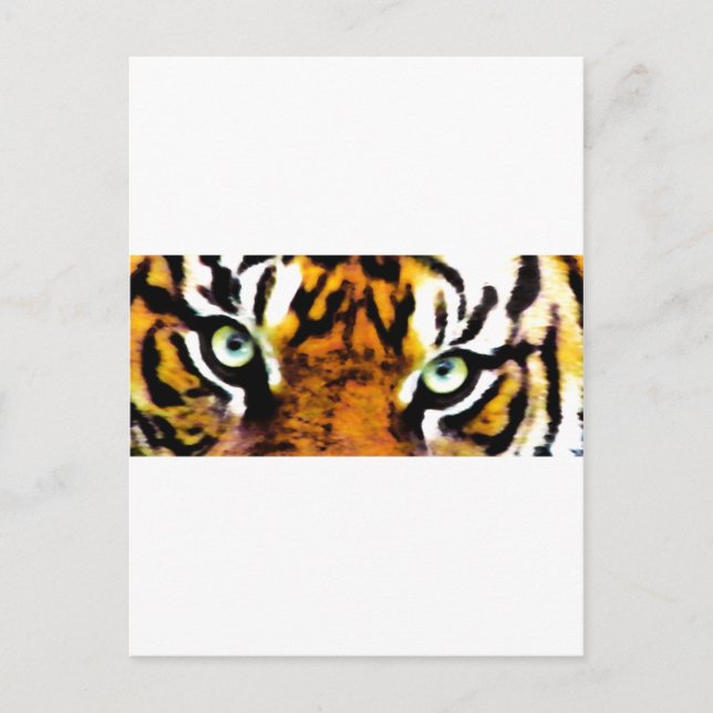 CARTÃO POSTAL OLHO DO TIGRE_ (Frente)
