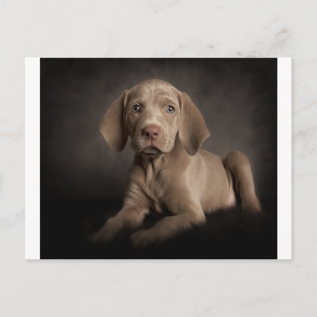 Cartão Postal Olhos azuis (Frente)