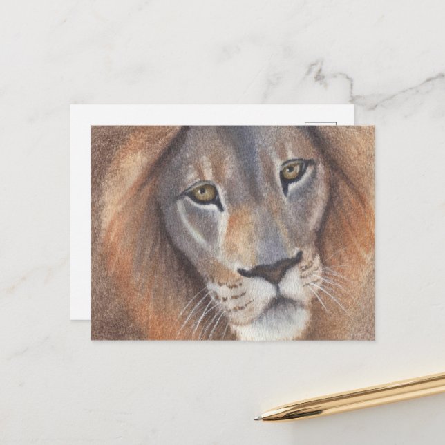 Cartão Postal Olhos de Leão (Frente/Verso In Situ)