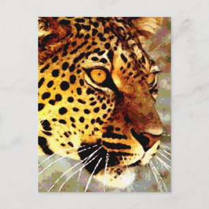 Cartão Postal Olhos de Leopardo